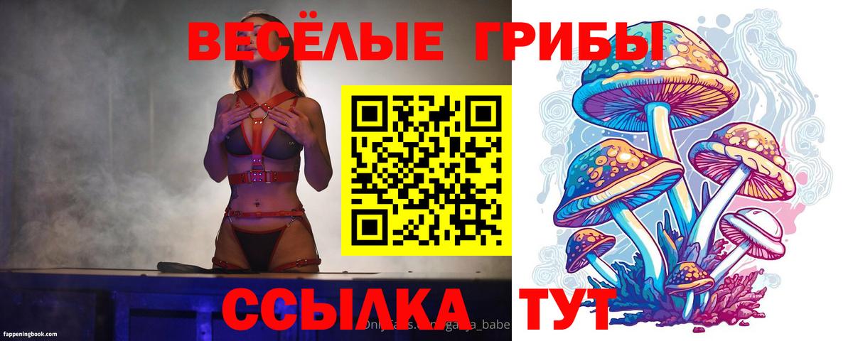 Железногорск  Псилоцибиновые грибы GOLDEN TEACHER  Вход с VPN 